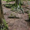 07 Aktion Juli - Freizeit 23